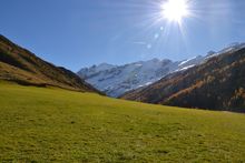 A Golden Autumn for All your Senses |